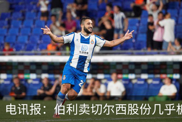 电讯报：伯利卖切尔西股份几乎板上钉钉，埃格巴利才是真正掌舵人